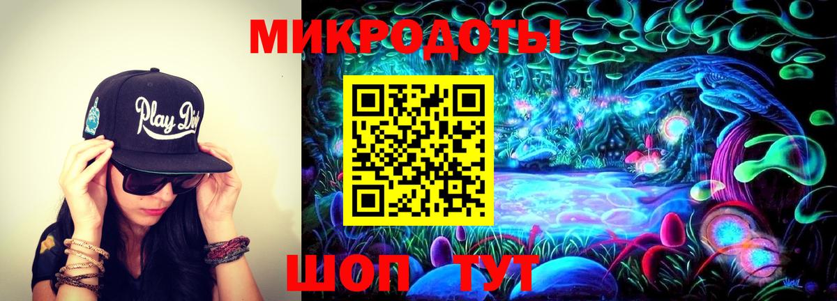 Псилоцибиновые грибы Psilocybe Горячий Ключ
