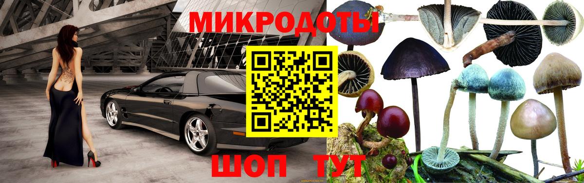 Псилоцибиновые грибы MAGIC MUSHROOMS Горячий Ключ